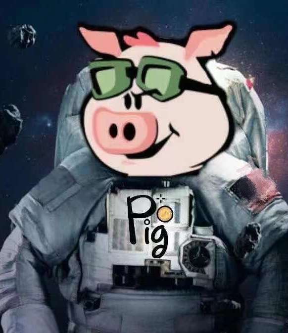 麦兜 的想法: 关于pig猪猪币的看法 第一,猪币屎币都是… - 知乎