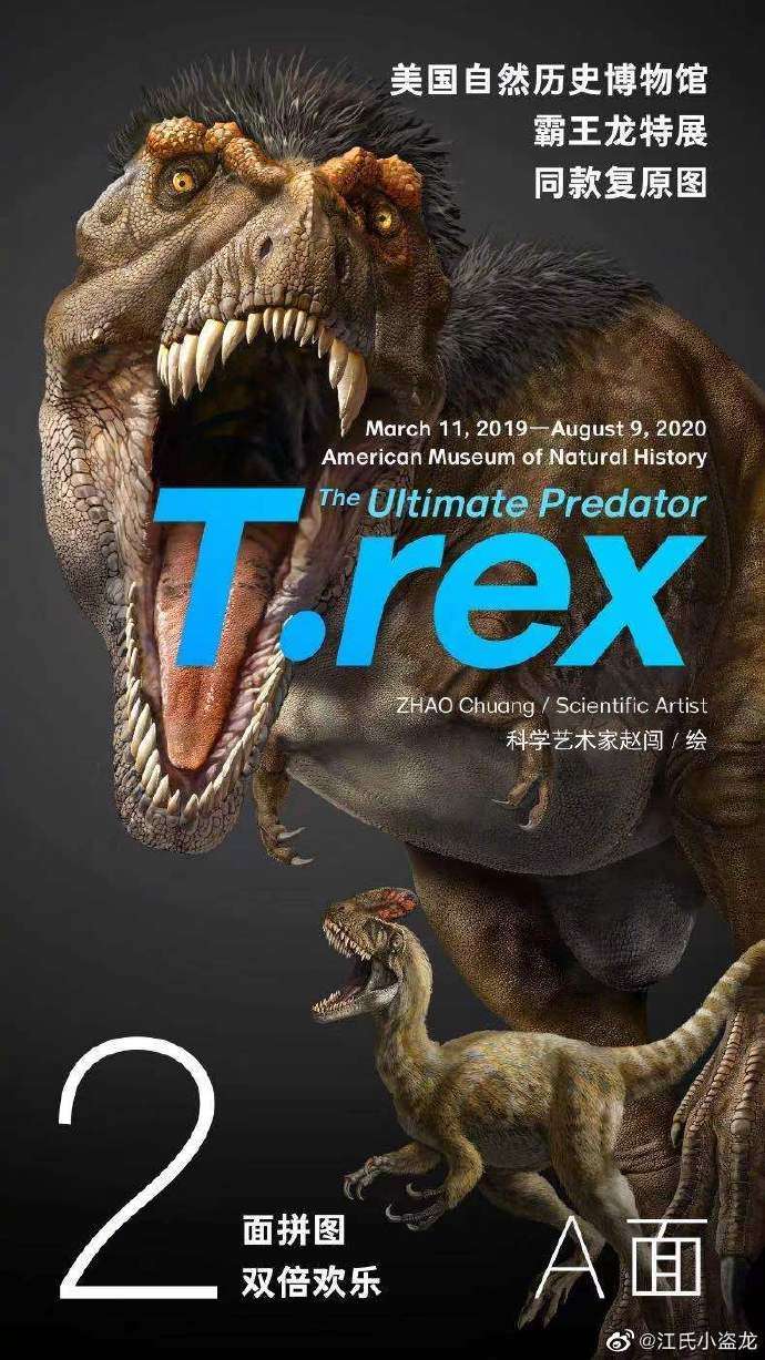 江泓 的想法: pnso恐龙大王拼图来啦!霸王龙家族八种,… - 知乎