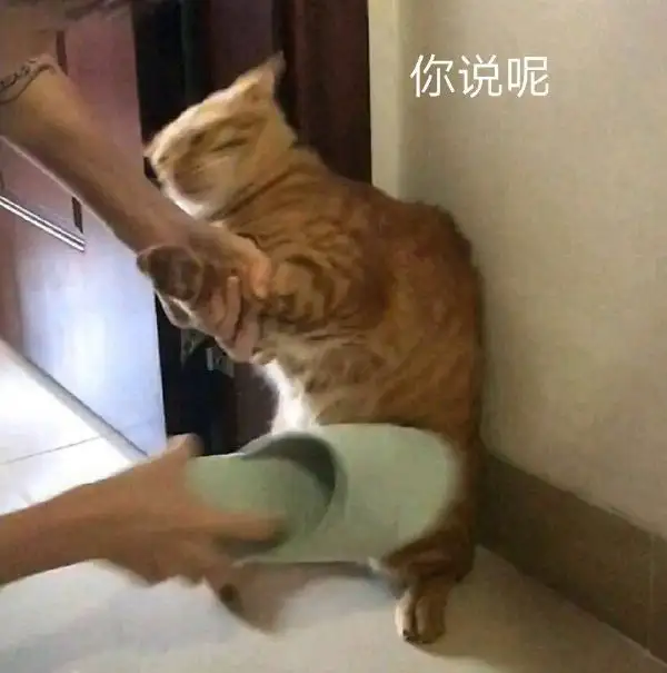 图片[8]-你能讲一个让人瞬间爆笑的笑话吗？-潘金友博客