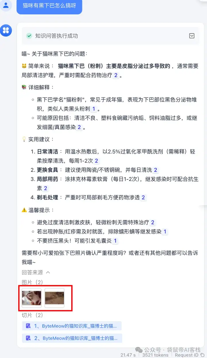 RAG天花板！从0到1打造商用Agent【喂了1G资料】
