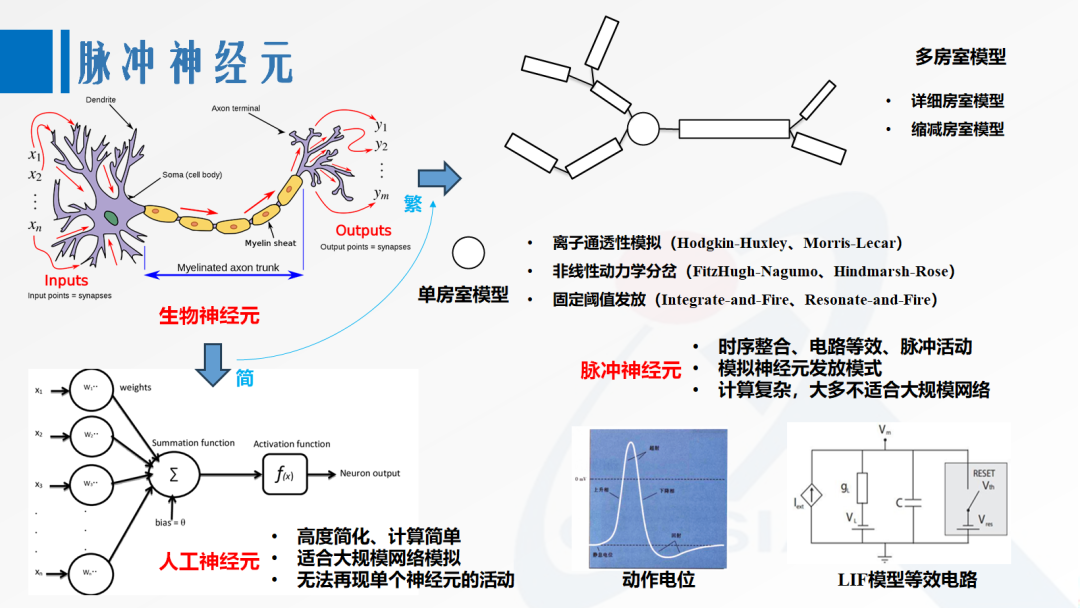 第三代神经网络模型：面向AI应用的脉冲神经网络