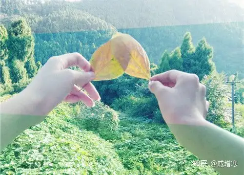 王维的哪些诗词被誉为经典？(王维经典诗词10首大全)