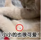 避孕套破裂什么原因我想知道避孕套破掉的家人们是哪些原因导致的?插图 避孕套破裂什么原因我想知道避孕套破掉的家人们是哪些原因导致的?插图