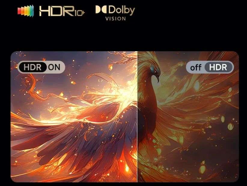 开博尔