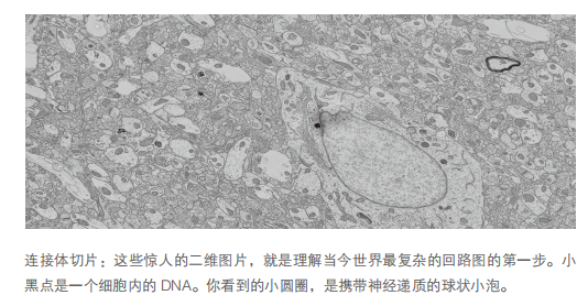 万字追问：人类需要AI，还是更需要自身AI化？
