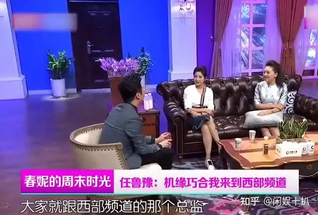 如何看待央视春晚任鲁豫的主持？