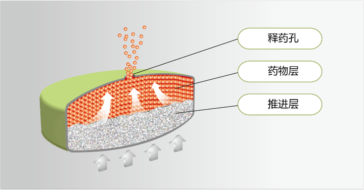 降压药会“发芽”?都是气候潮湿惹的祸!_中华网