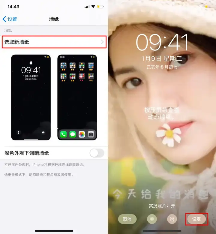 苹果手机怎么设置动态壁纸（iPhone动态壁纸的设置教程）