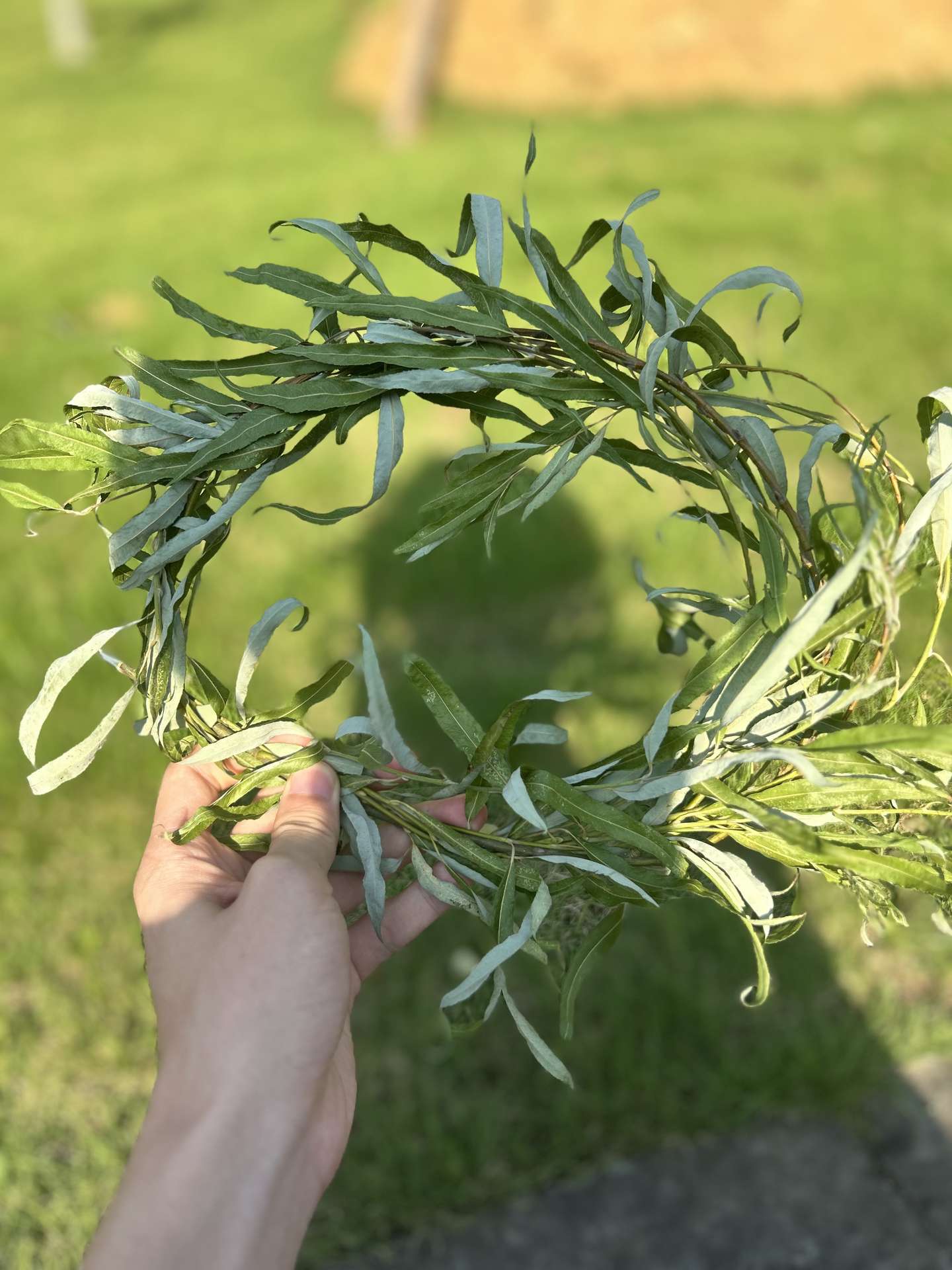 即使引导破碎...算了送你一个天使的礼物