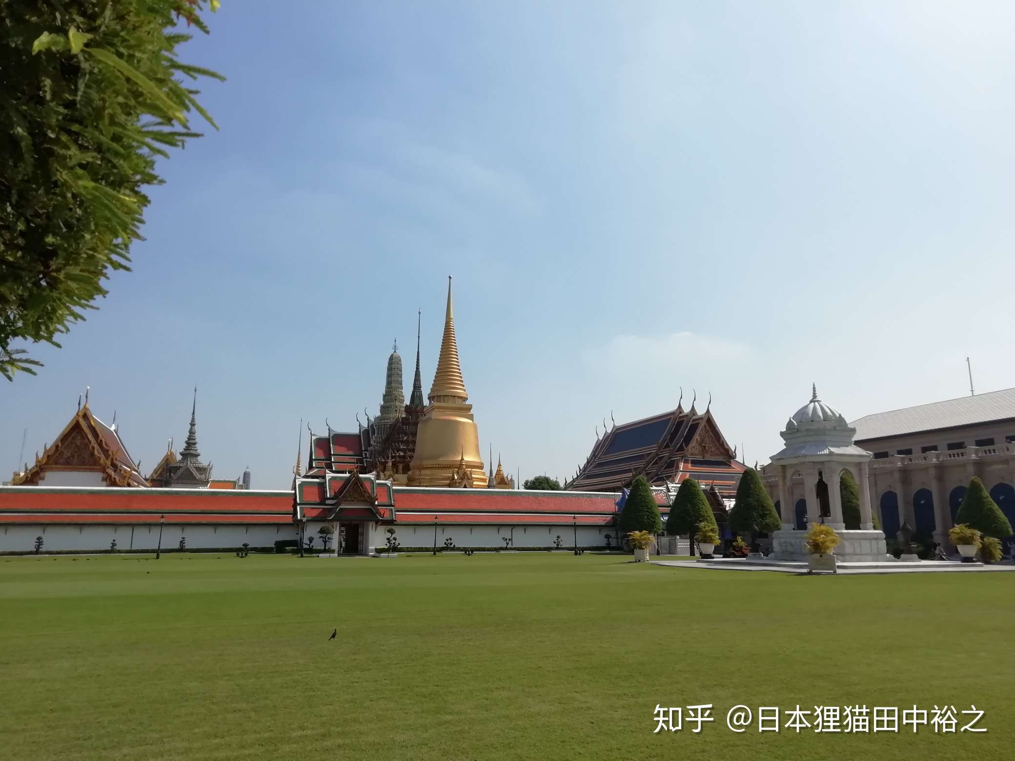 皇家田广场图片