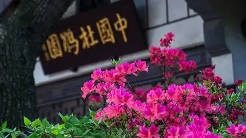 五一去哪里旅游好啊，人少景美的地方？