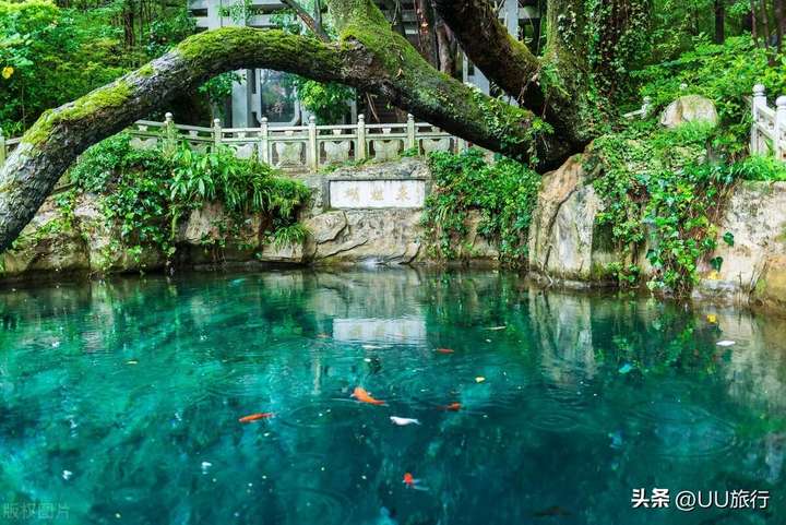 大理洱海旅游攻略必去景点