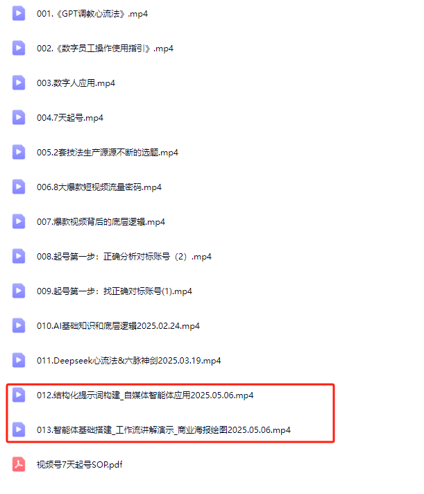 图片[5]-白先生AI流量体-老板的随身操盘手2025年5月(价值1980元)_-就爱副业网