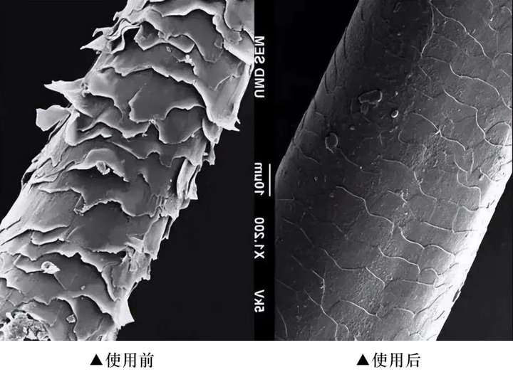 发膜什么牌子效果最好？十大最好用发膜排行榜