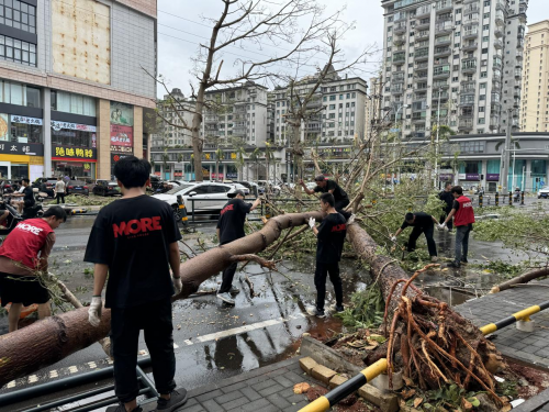 台风过境，酒吧摇身一变成避风港