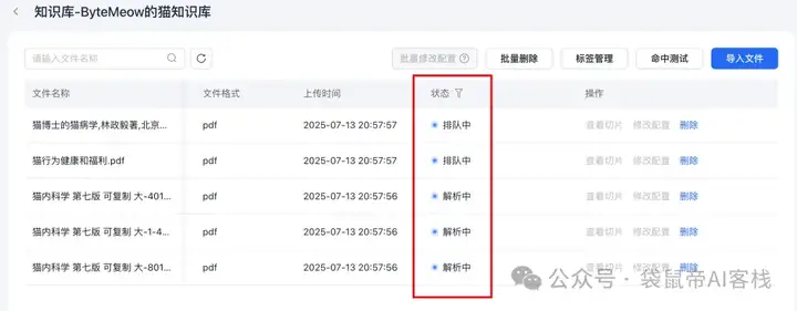 RAG天花板！从0到1打造商用Agent【喂了1G资料】