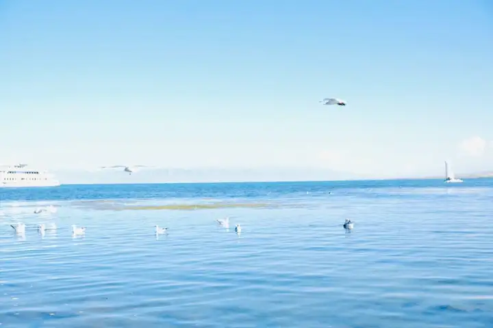 青海湖海拔高度多少（青海湖简介）