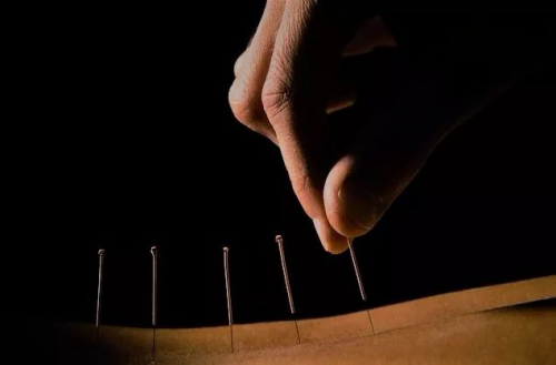 梁世界中医减肥：四法共用，各奏其效