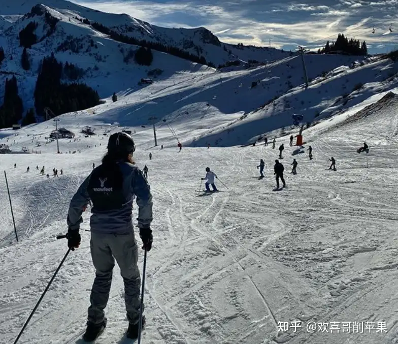 滑雪新手如何挑选适合自己的滑雪杖？ - 知乎