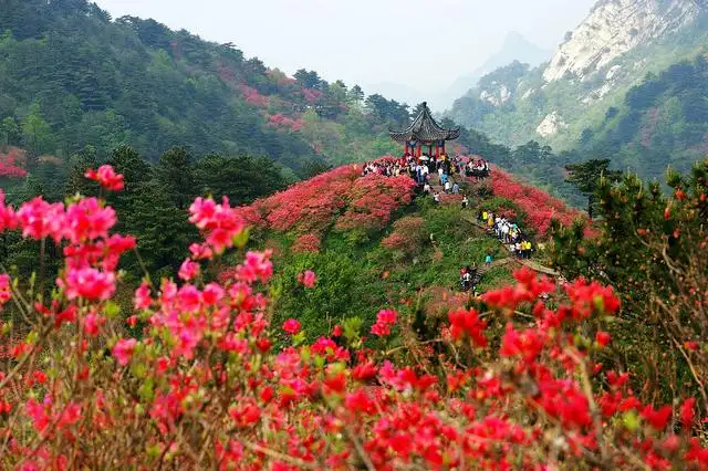 江西著名景点有哪些（江西十大必去旅游景点排名）