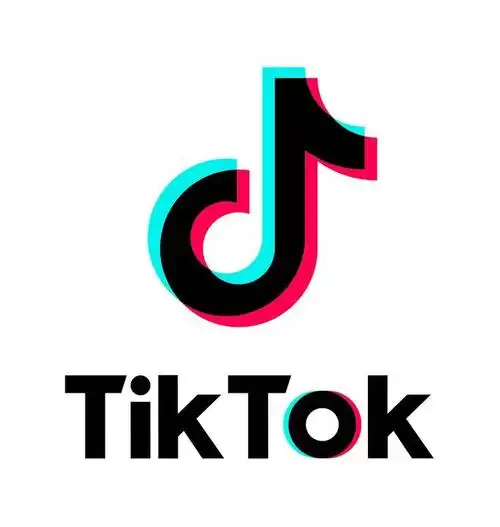 【百聚汇】TikTok跨境短视频零基础到精通网赚变现课