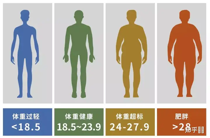 什么是BMI？如何计算自己的BMI？(bmi怎么计算啊)