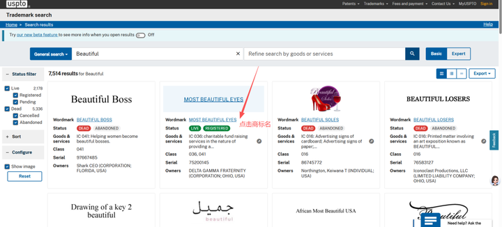亚马逊品牌R标购买流程指南 | 建议收藏
