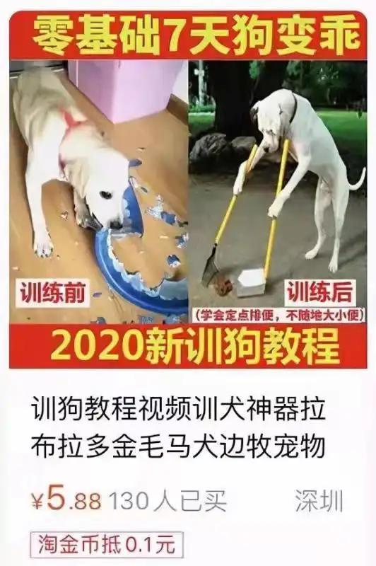 哈萨克斯坦因「取消液化石油气价格管制」爆发大规模抗议，总统宣布解散政府，目前当地情况如何？