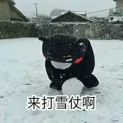 打雪仗表情图片