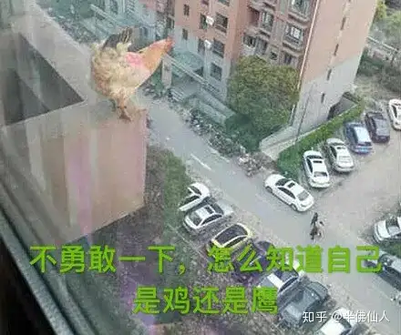 如何看待孙宇晨456万美元拍下巴菲特天价午餐?