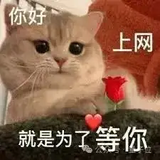 ChatGPT智能体正式发布，多个创业赛道昨夜无眠