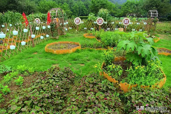 珠海有什么好玩的地方，珠海必去十大旅游景点大全