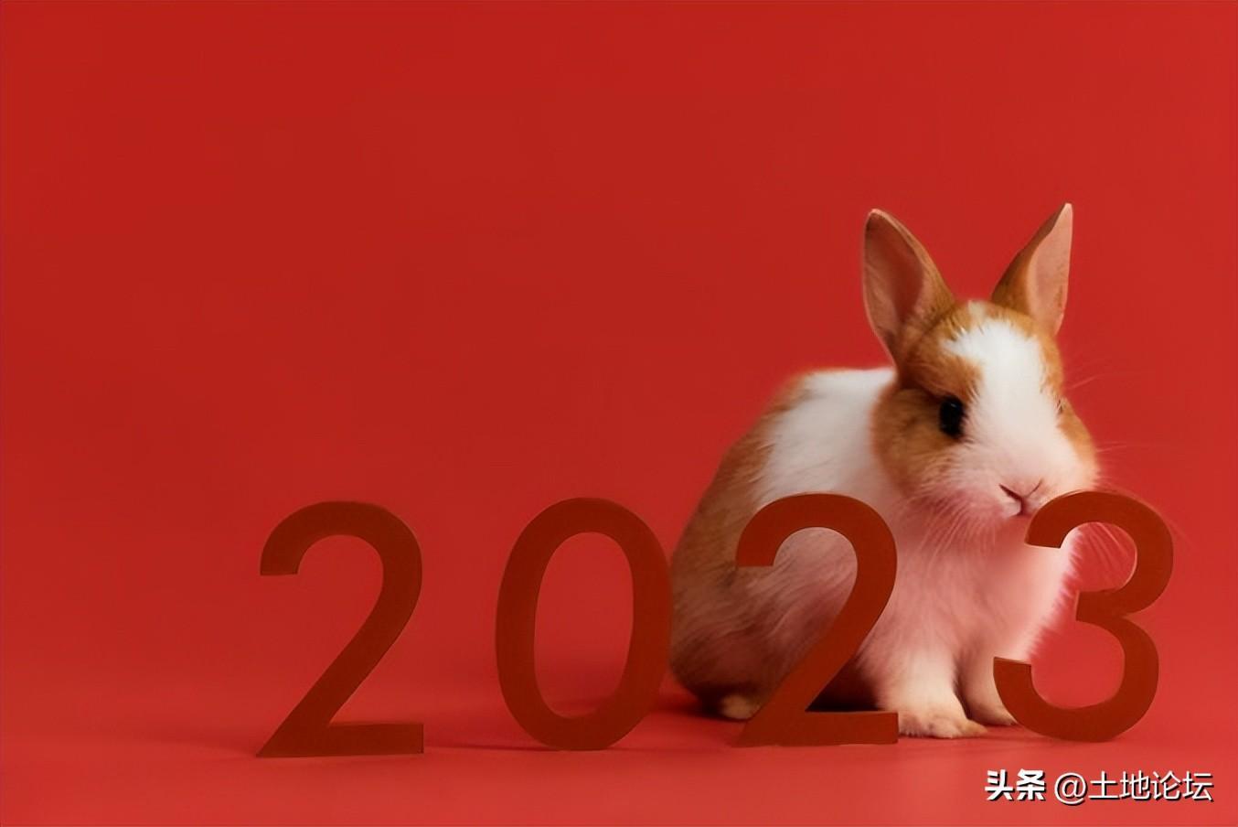 2023年属兔百年难遇 为什么兔年不能生孩子？