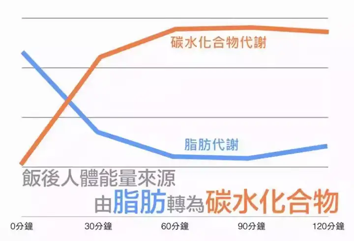 怎么在十天瘦20斤?