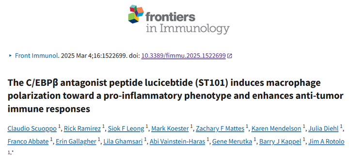 C/EBPβ 肽拮抗劑 Lucicebtide 誘導(dǎo)巨噬細(xì)胞向促炎表型極化并增強(qiáng)抗腫瘤免疫反應(yīng)