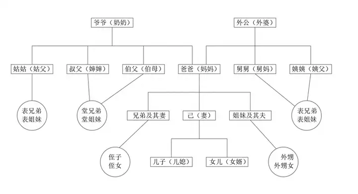 最全亲戚关系家谱图（中国人的亲戚关系称谓）