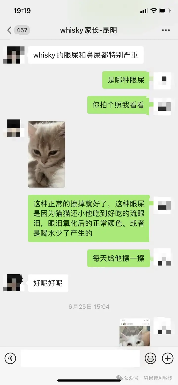 RAG天花板！从0到1打造商用Agent【喂了1G资料】