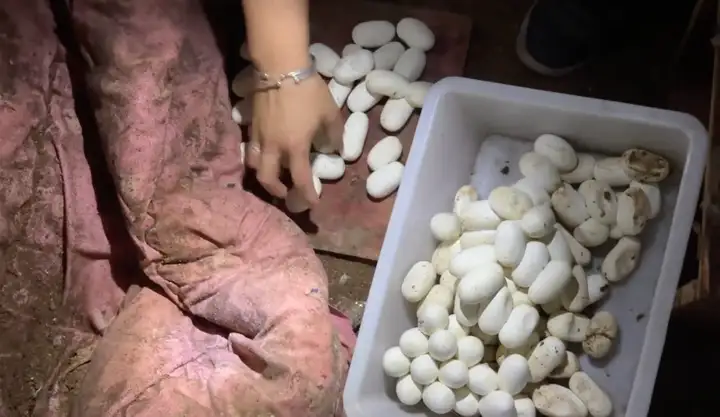 Gallery - Trở về nhà sau 6 tháng đi xa, người đàn ông không tin nổi vào cảnh tượng trước mắt - image 5