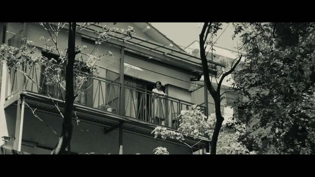 zmuse 的想法: 整个五一假期,观看了石桥静河出演的五部… - 知乎