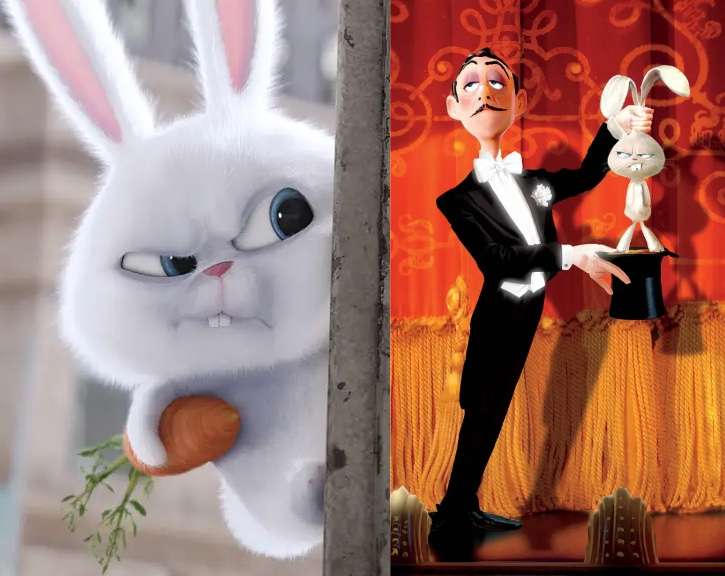 《爱宠大机密》与《魔术师和兔子》剧照|来源：豆瓣