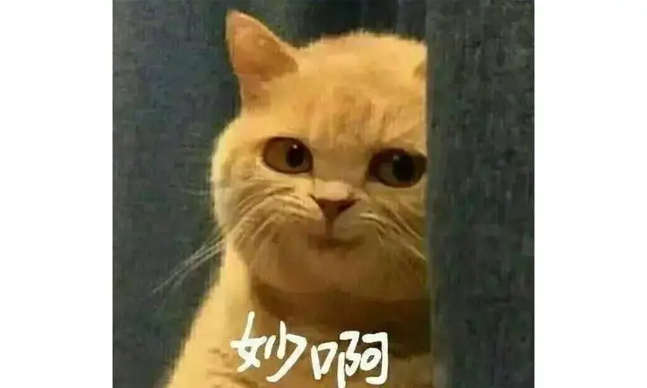埃塞俄比亚是一个怎样的国家？