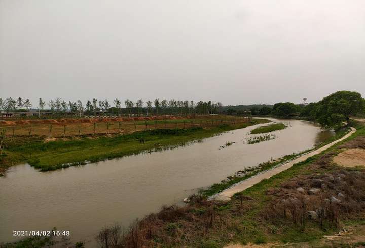 南丰县林业局 ：守护湿地资源 发展生态产业