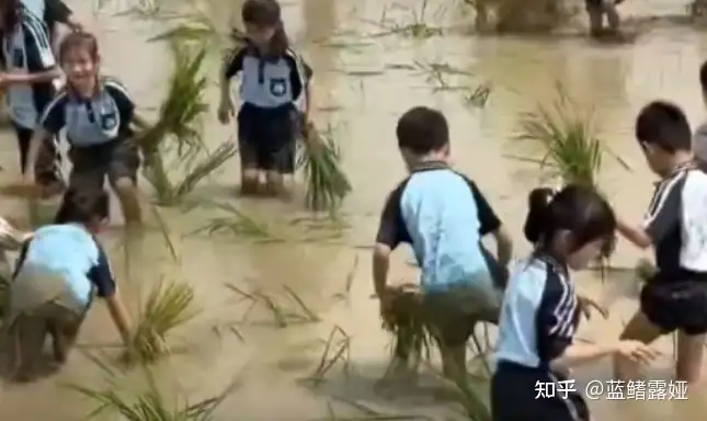 广西小学生春游研学下地插秧，变身「小泥娃」，网友称「这才是研学正确的打开方式」，你支持这样的研学吗？