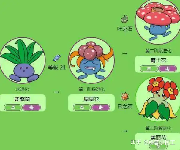 到底什么是前端、后端、后台啊?4 到底什么是前端、后端、后台啊?