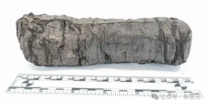 AI再破2000年前「上古卷轴」！古希腊著作原文首次重见天日