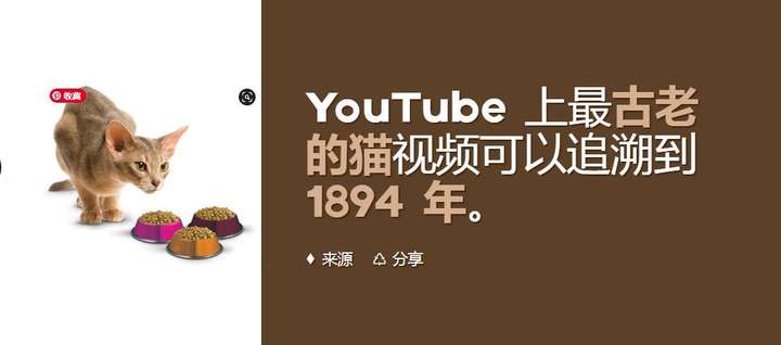 油管怎么在国内使用？什么加速器可以看youtube