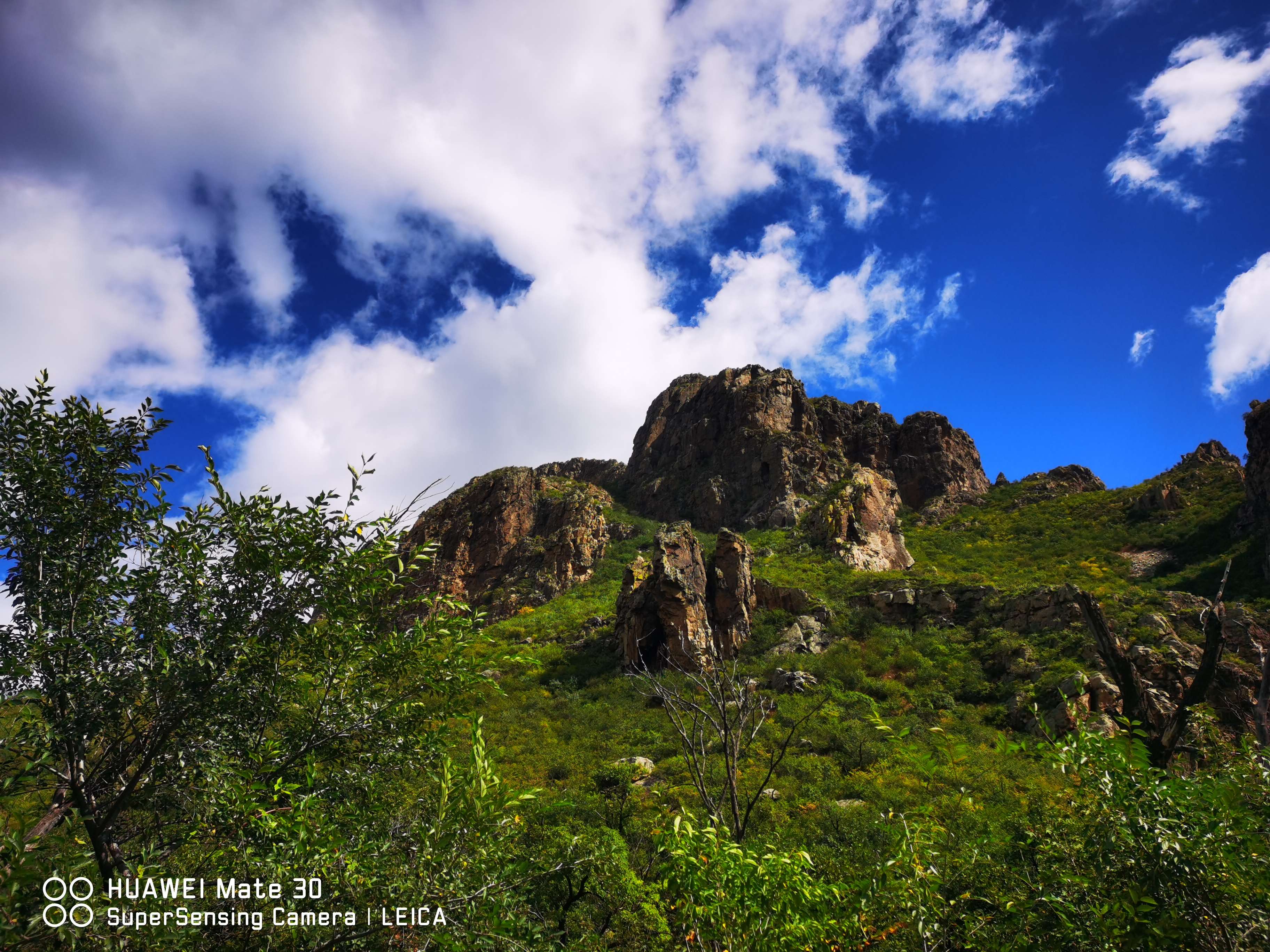 张杰华我为契丹代言 的想法: 《苦肉计》 人不自害