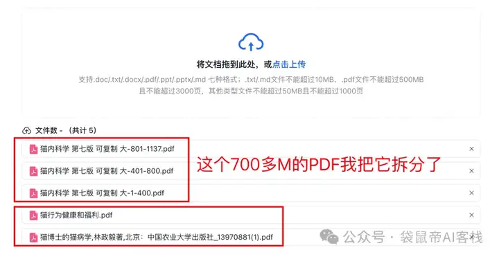 RAG天花板！从0到1打造商用Agent【喂了1G资料】