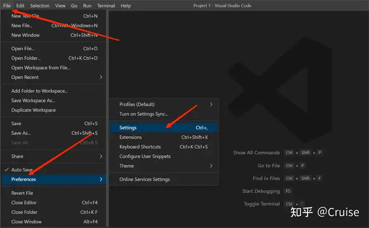 vsCode 出现Code language not supported or defined怎么办？ - 知乎