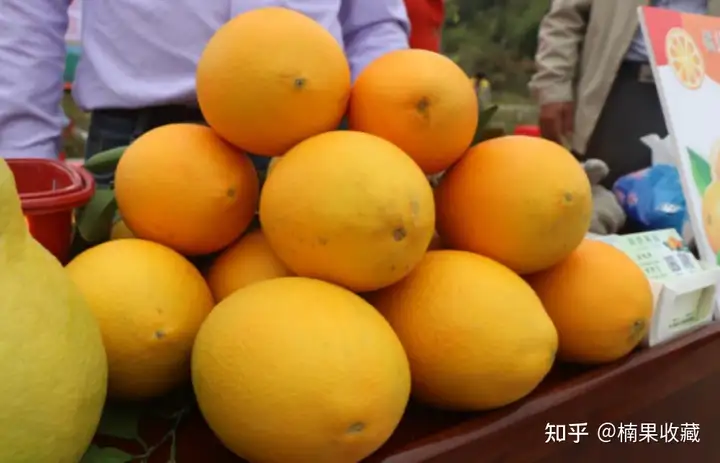 如何轻资产批量孵化三农直播带货账号?